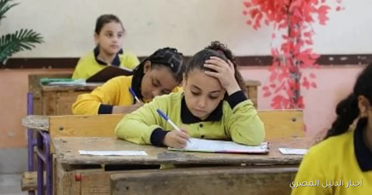 10 حقائق أساسية حول امتحان شهر أكتوبر لصفوف النقل