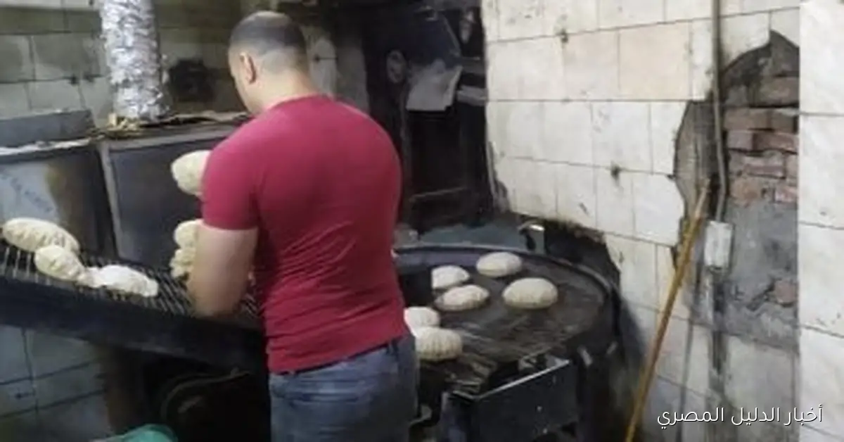 محافظ الغربية يتفاعل مع شكاوى المواطنين من خلال حملة تفتيش على المخابز في مركز المحلة