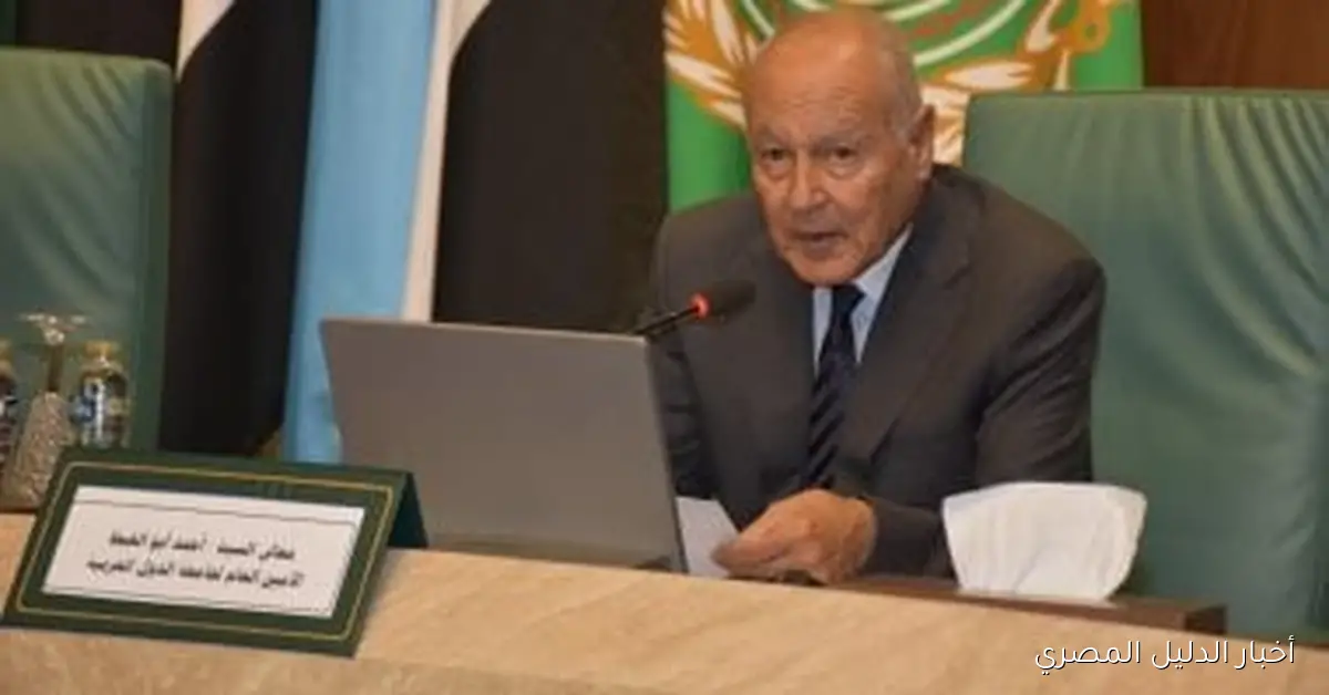 أبو الغيط يطالب بتعزيز روح الإبداع وتوفير بيئة داعمة للمشروعات الناشئة