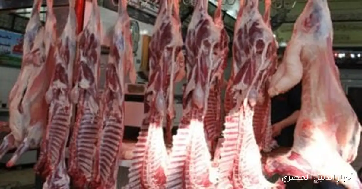 أسعار اللحوم والدواجن والأسماك في سوهاج: تقرير يوم الأربعاء 22 أكتوبر 2025