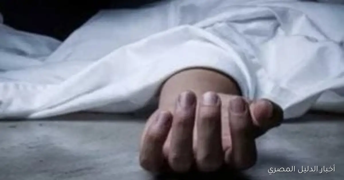 أمن المنوفية يواصل حملة مكثفة للقبض على المتهم بقتل طليقته إثر خلافات شخصية