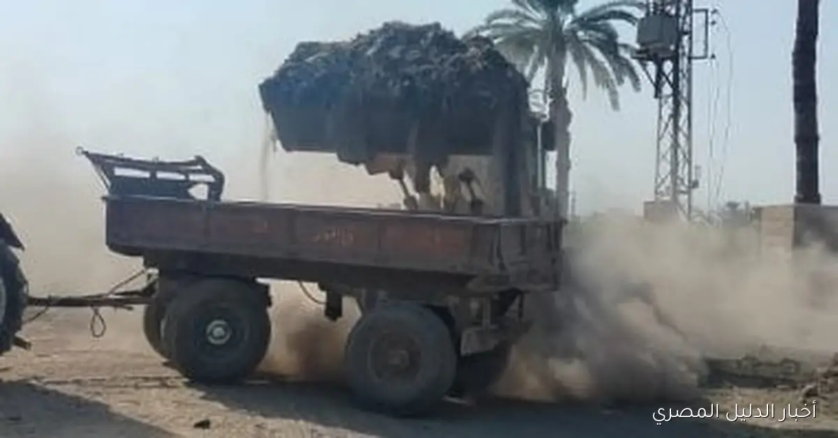 أهالي قرية في قنا يطلقون مبادرة ذاتية لتنظيف الشوارع وزراعة الأشجار