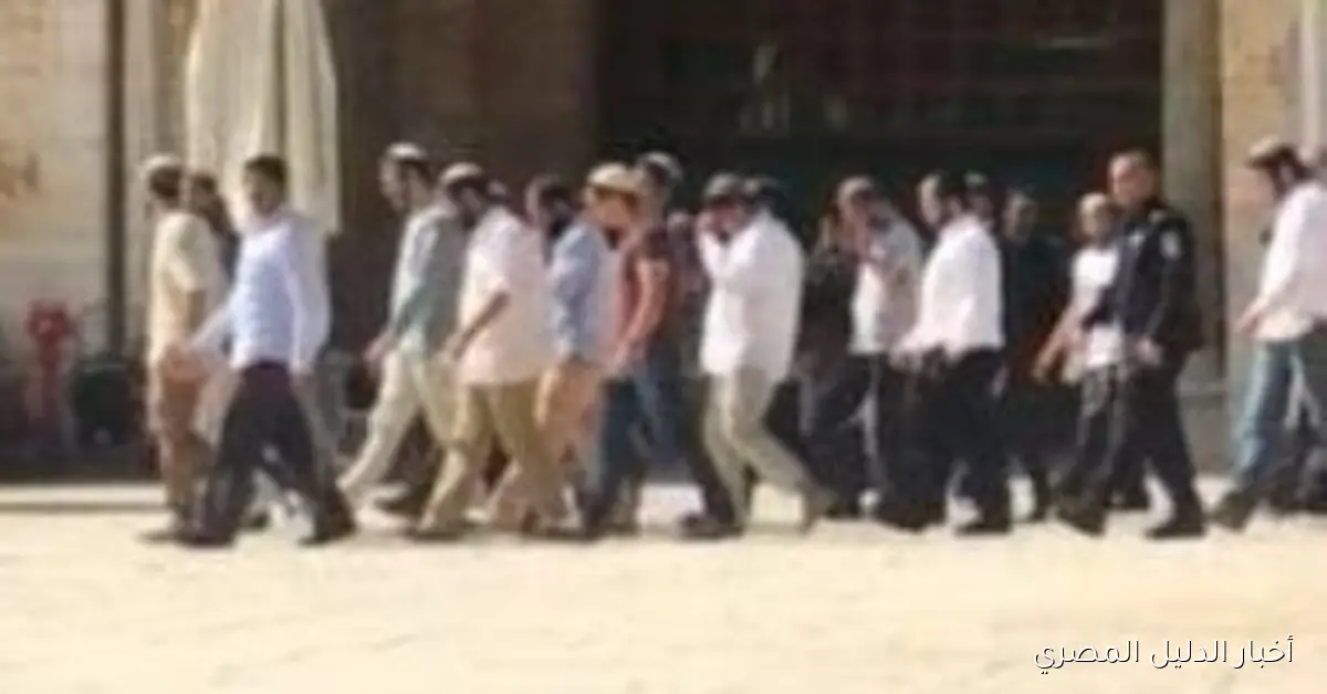 أوتشا تسجل 71 اعتداءً للمستوطنين في الضفة الغربية خلال أسبوع