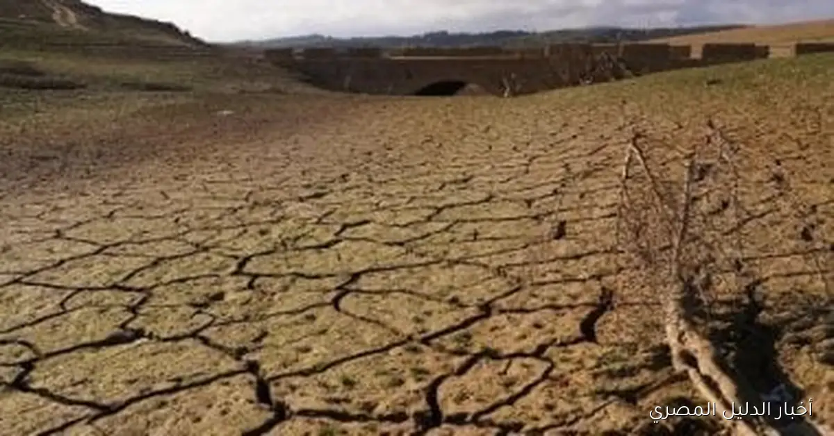 أوروبا تواجه أزمة جفاف حادة: نصف الأراضي الأوروبية تحت وطأة العطش، مما يهدد الأمن الغذائي والمائي في القارة