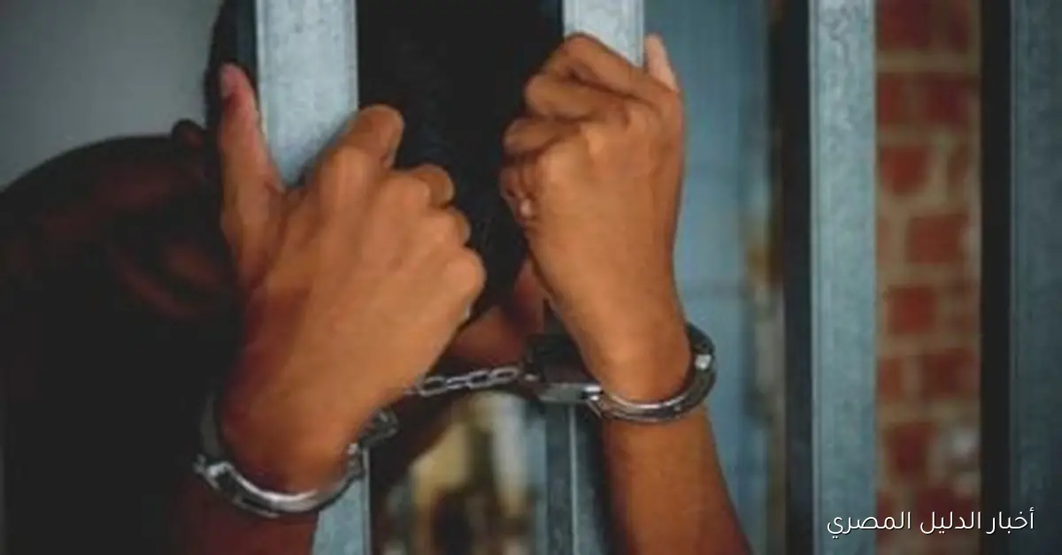 إجراءات قانونية ضد مديرة مدرسة بالدقهلية والمشرفين على خلفية واقعة تحرش مدرس بتلميذة في المرحلة الابتدائية