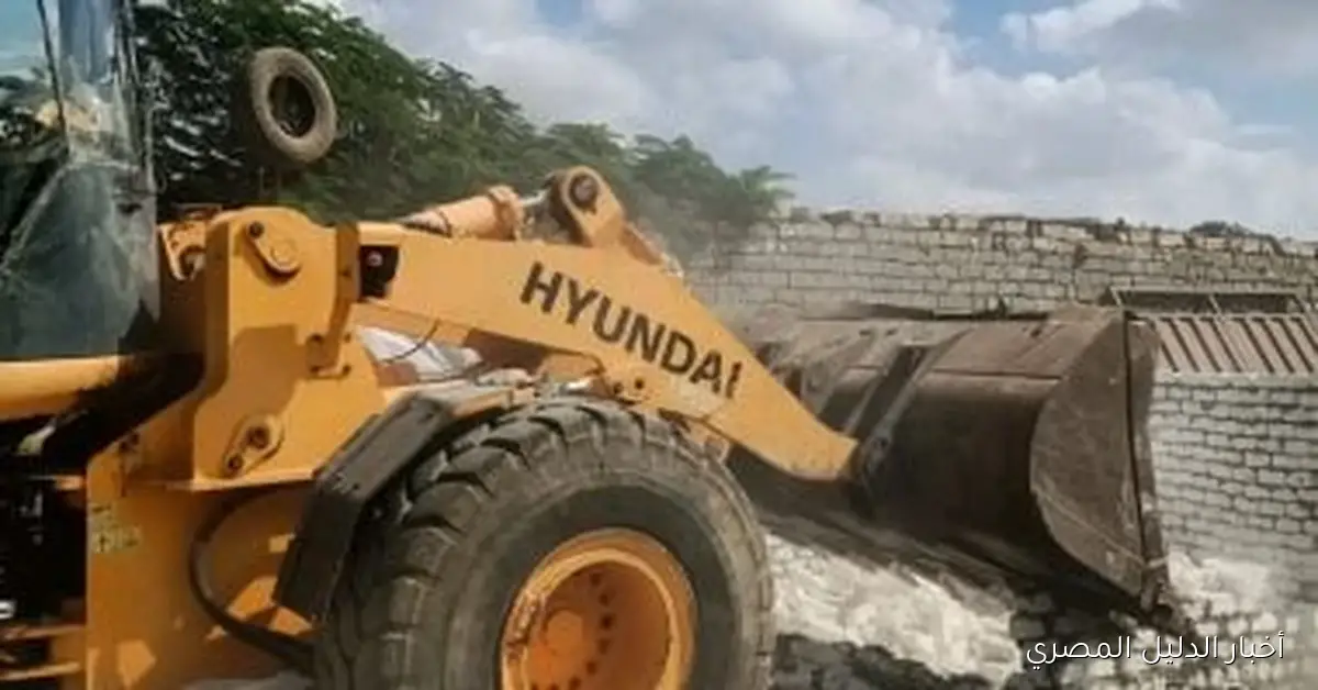 إزالة 47 حالة تعدٍ على أراضي أملاك الدولة في محافظة الشرقية