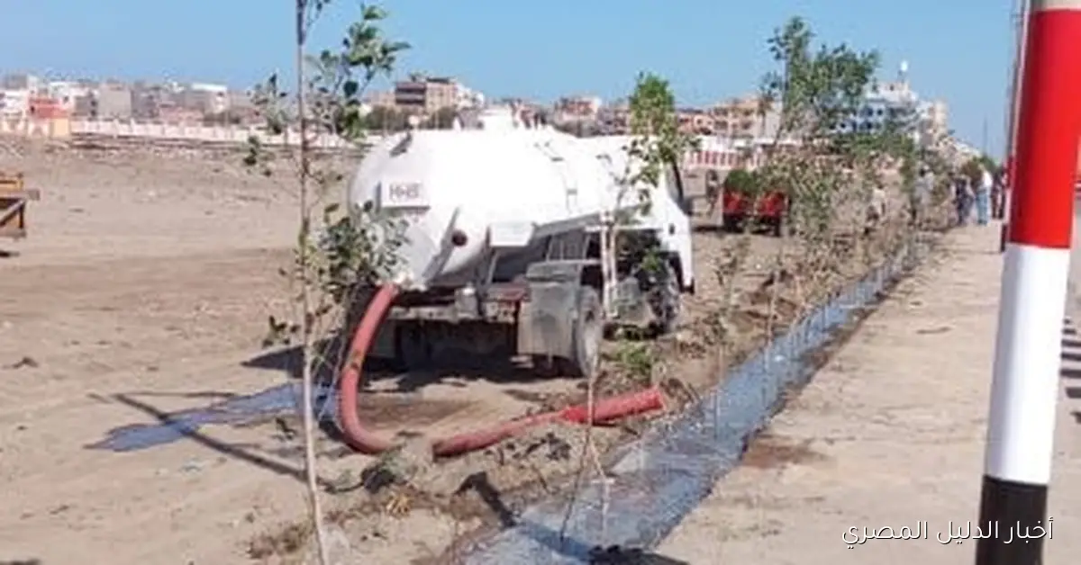 إطلاق حملة زراعة الأشجار في برج البرلس ضمن مبادرة ‘100 مليون شجرة’ استعداداً للاحتفال بالعيد القومي