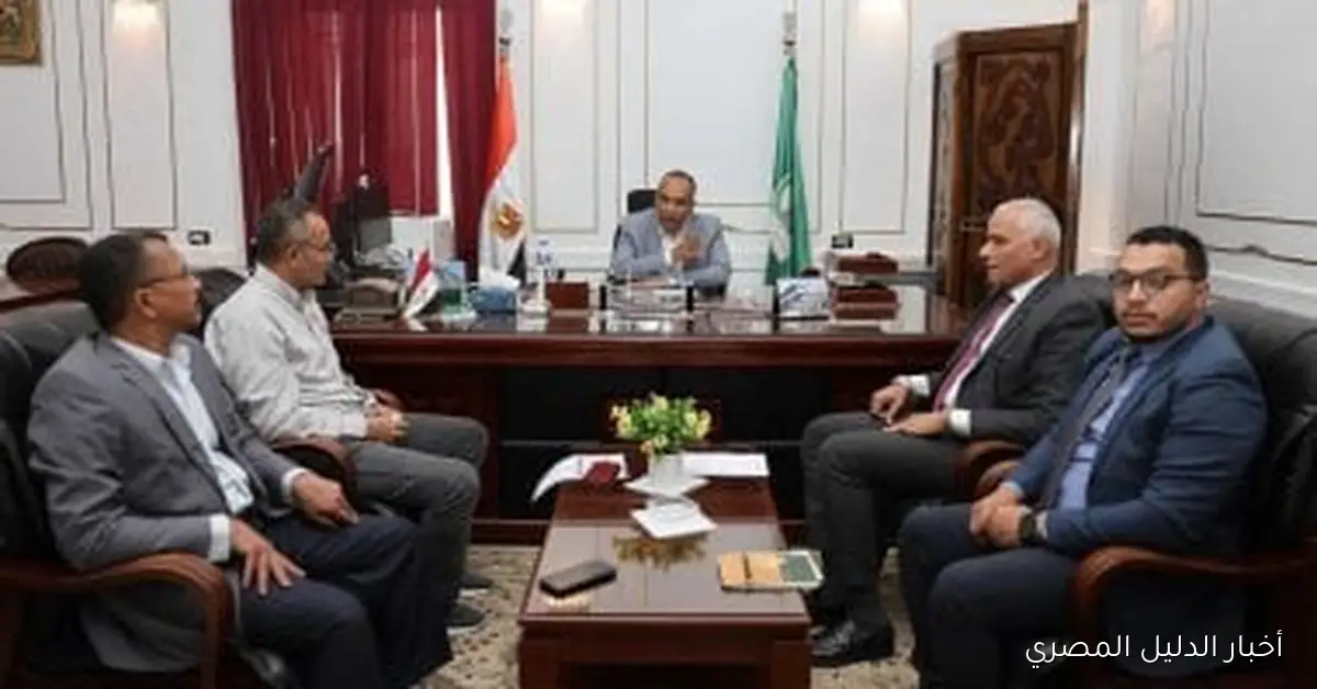 إطلاق خطة شاملة لتنظيم الصناعات وتعزيز المشروعات الصغيرة في المنيا