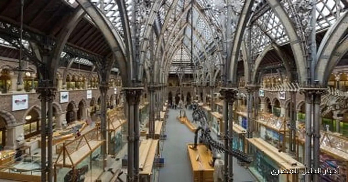 إقالة رئيس اتحاد طلاب أكسفورد قبل بدء مهامه: فرحة قصيرة الأمد