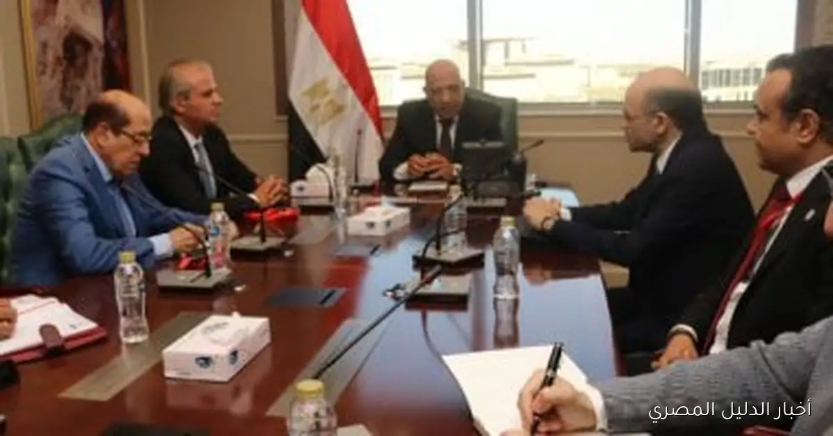 اجتماع وزير الكهرباء مع خبراء لتطوير مجمع صناعي لإنتاج الكاولين والجلوكونيت