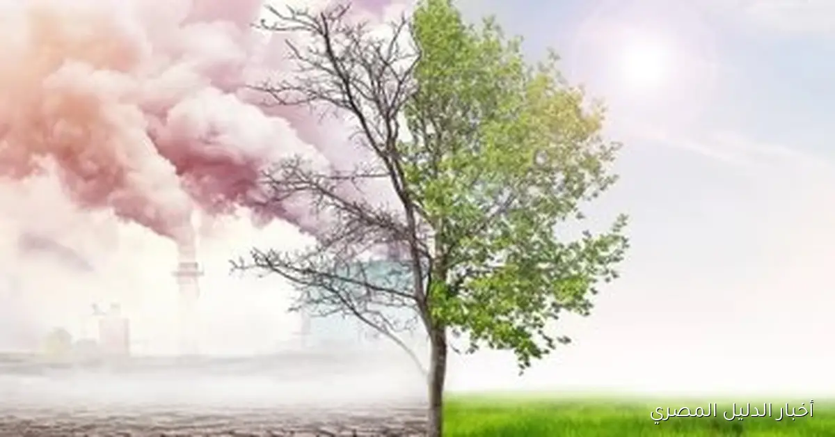 استراتيجيات مصر لدخول سوق التأمين الأفريقي: فرص واعدة للنمو