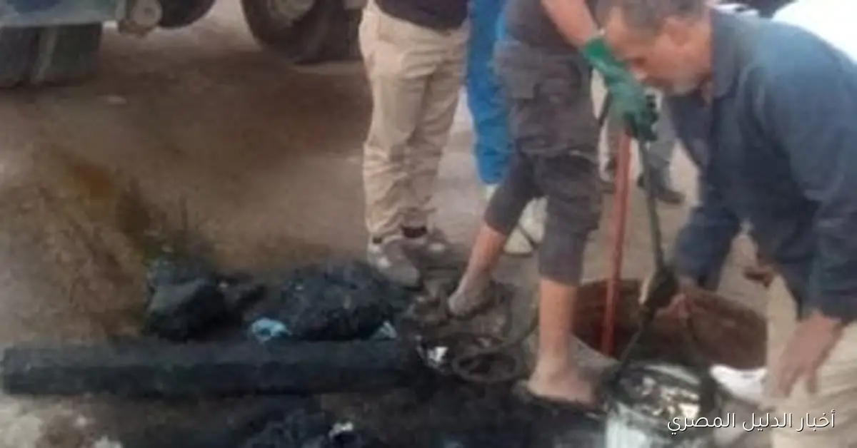 استراتيجية تطوير نظام الصرف الصحي الآلي في مدينة أسوان: تفاصيل خطة العمل