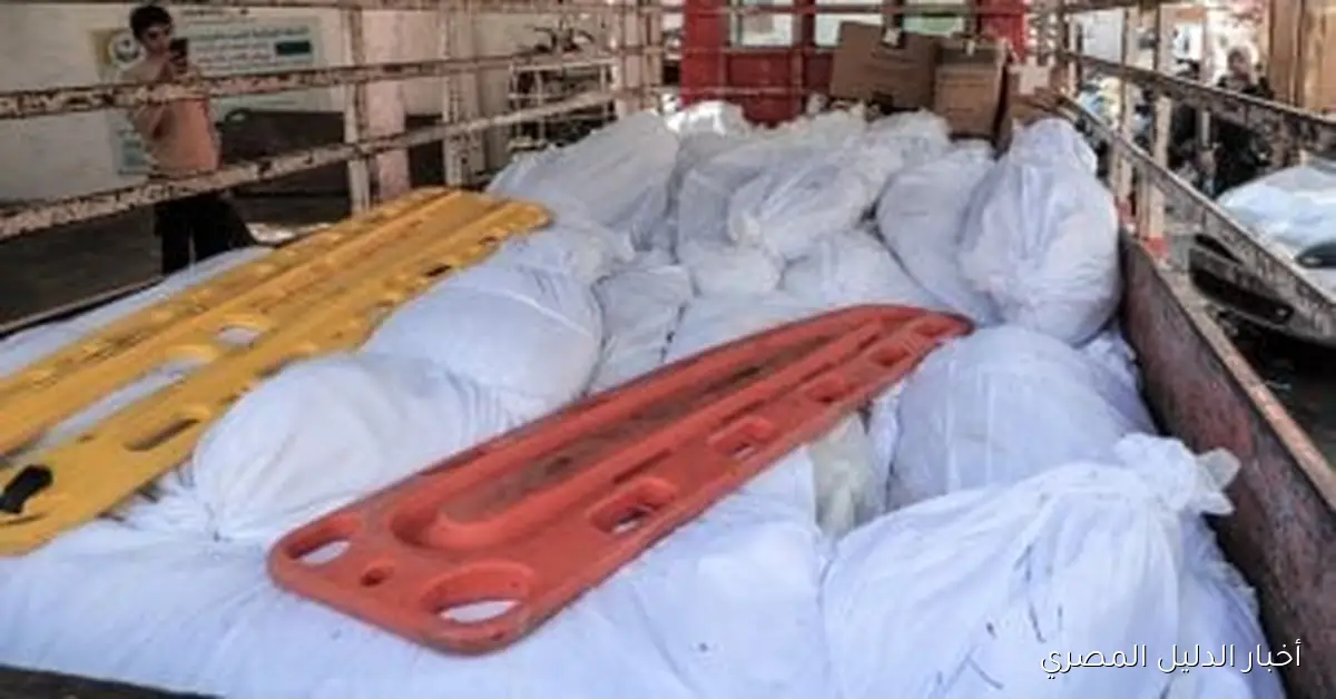 استشهاد 23 فلسطينياً جراء هجمات الاحتلال الإسرائيلي في مناطق متفرقة من غزة