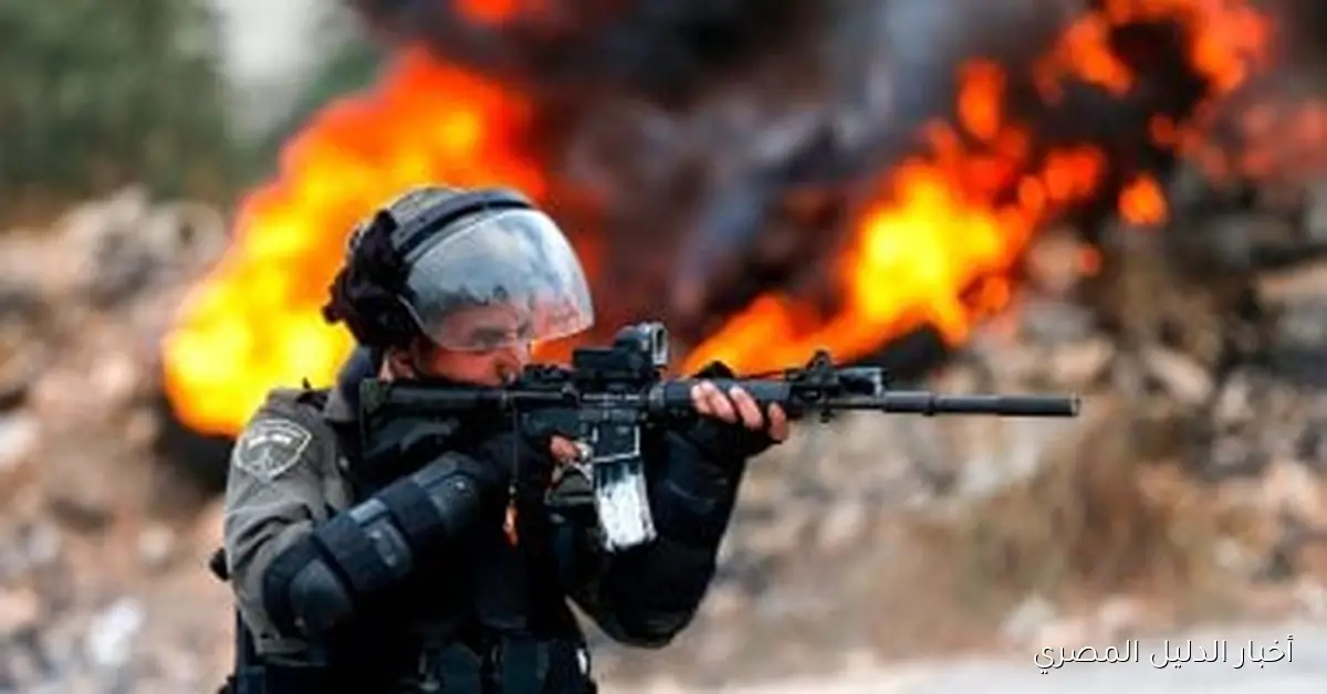 استشهاد فلسطينيين بنيران الاحتلال الإسرائيلي شرق مدينة غزة