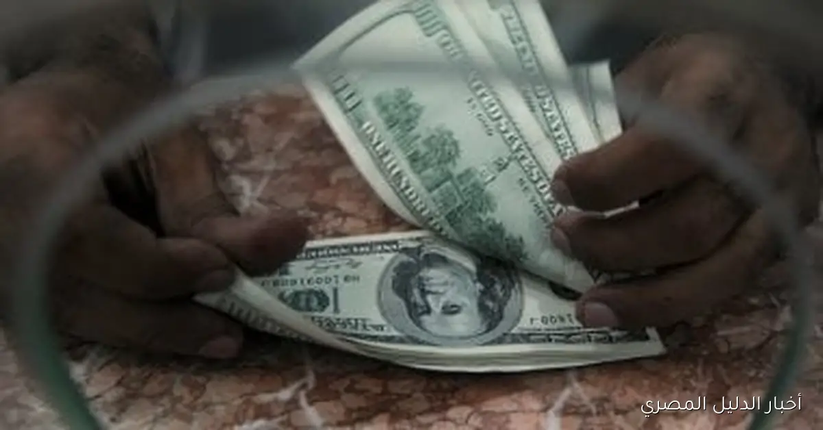 استقرار سعر الدولار عند 47.65 جنيه في ختام الأسبوع بالبنك المركزي