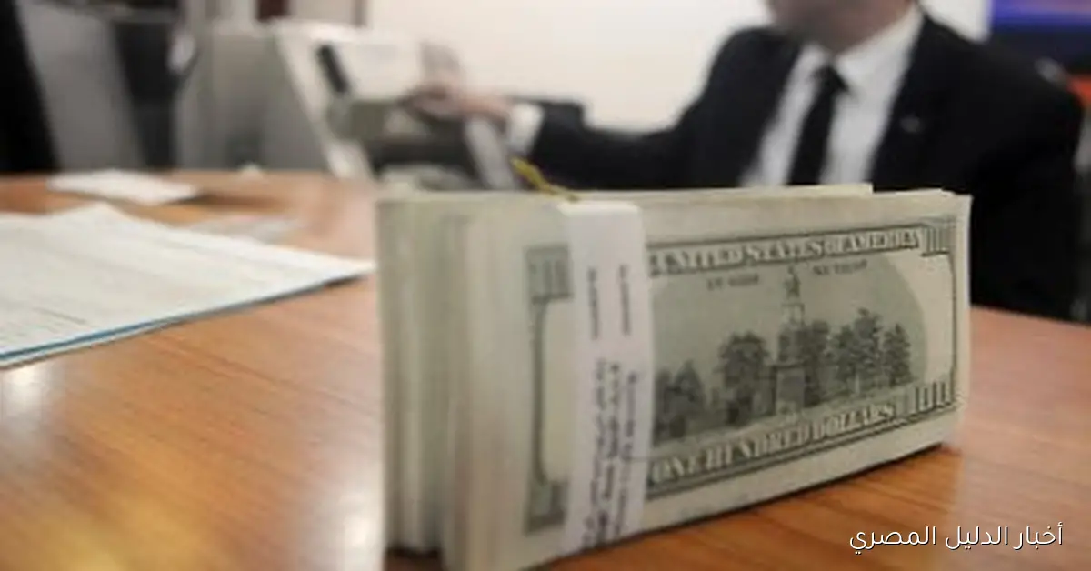 استقرار سعر الدولار مقابل الجنيه المصري في 24 أكتوبر 2025