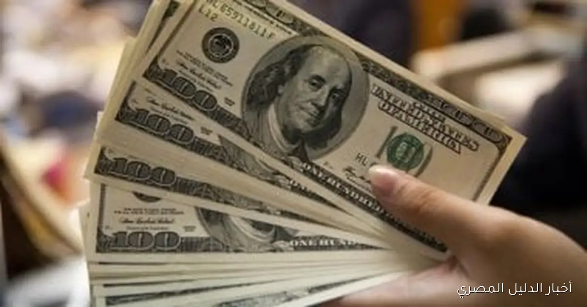 استقرار سعر الدولار مقابل الجنيه في البنوك الرئيسية بتاريخ 24 أكتوبر 2025
