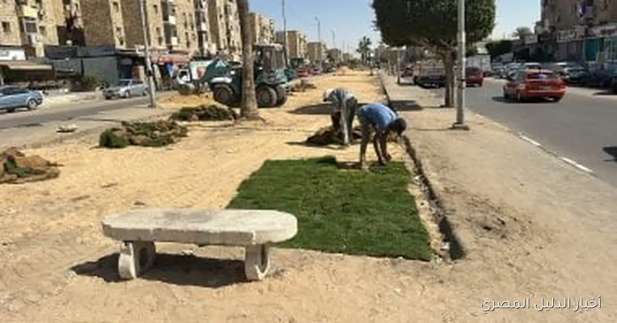 استكمال تطوير شبكة الري في الشارع التجاري بالإسماعيلية وتعزيز المسطحات الخضراء