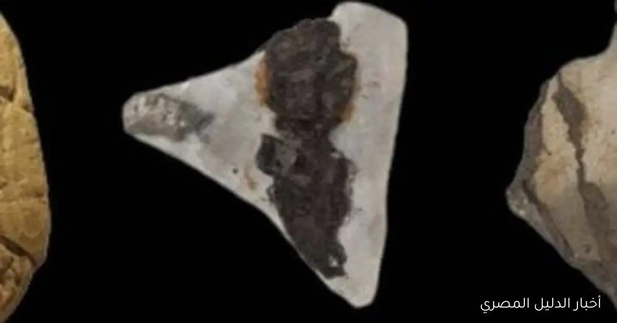 اكتشاف علكة تعود لستة آلاف عام في جبال الألب يثير تساؤلات العلماء