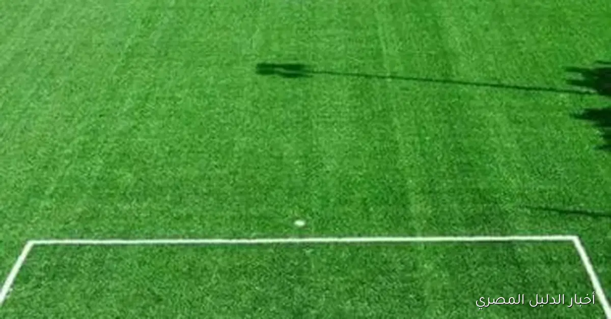 اكتشف 9 حقائق حول المراكز الشبابية في كفر الشيخ