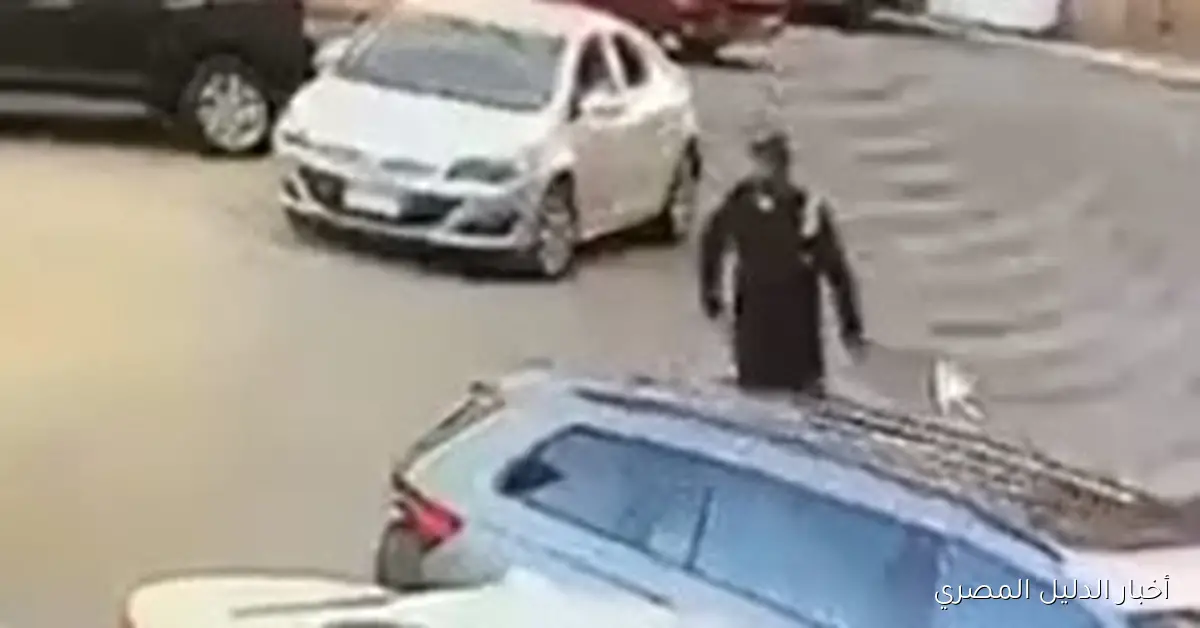 <p><strong>الأجهزة الأمنية في بورسعيد تواصل تحقيقاتها لكشف ملابسات سرقة حقيبة من سيدة</strong></p>