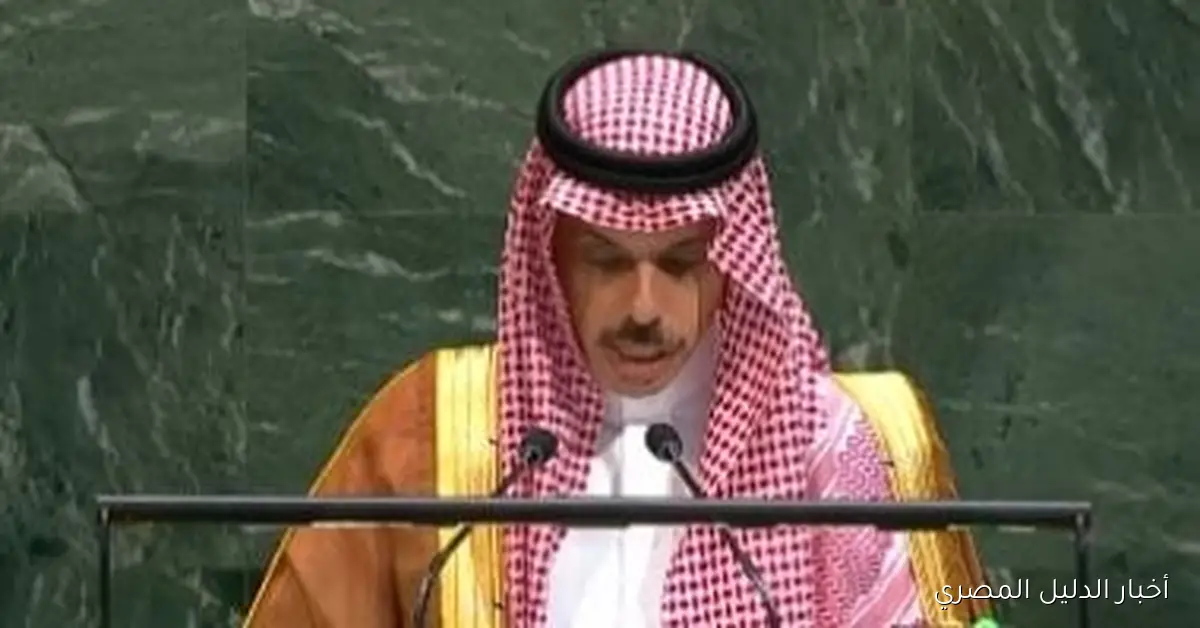 الأمم المتحدة والسعودية تتباحثان في التطورات الإقليمية والدولية