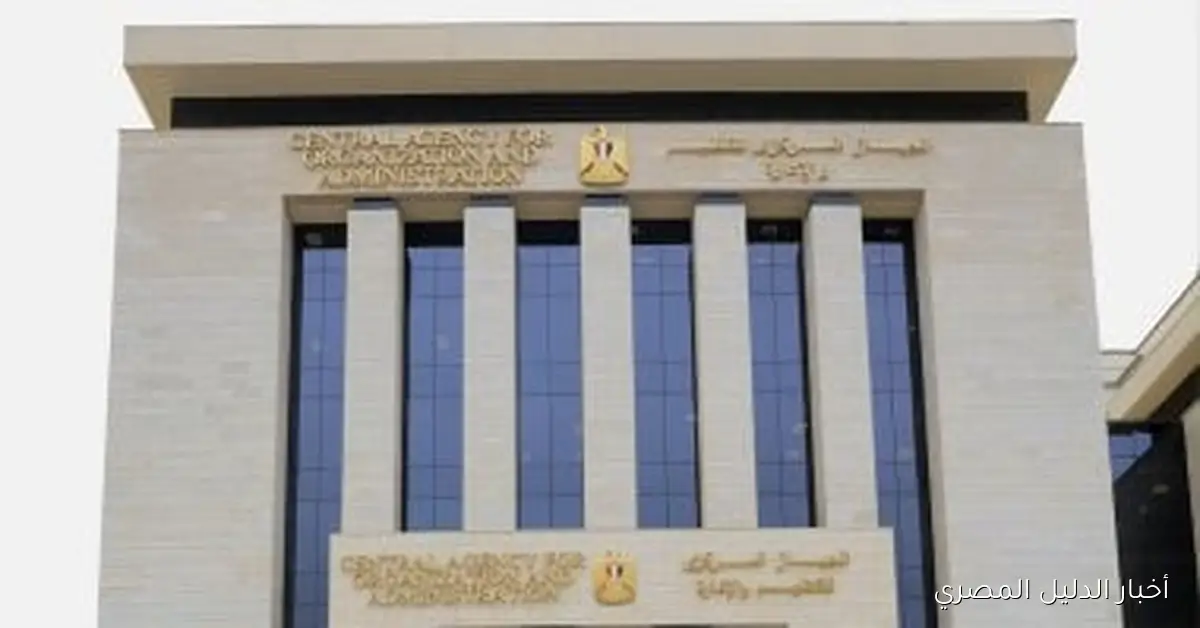 التنظيم والإدارة يفتح 141,406 فرصة عمل في 17 جهة حكومية بحلول 2025