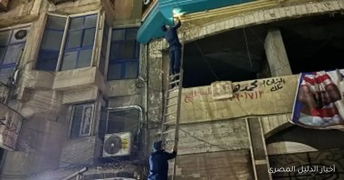 الحماية المدنية في طنطا تنقذ قطتين عالقتين داخل لوحة إعلانات