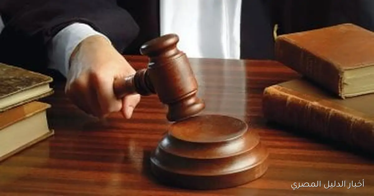 القضاء الإداري في الدقهلية يعيد ترشح عدد من المرشحين لانتخابات النواب ويؤكد استبعاد 32 آخرين