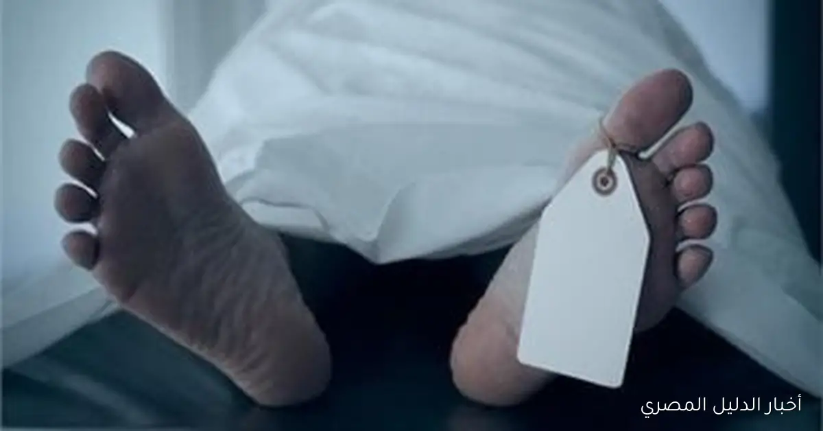 النيابة العامة تحقق في جريمة قتل سيدة على يد طليقها نتيجة خلافات في المنوفية