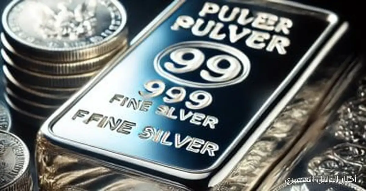 انخفاض أسعار الفضة اليوم: سعر جرام عيار 999 يصل إلى 92 جنيها