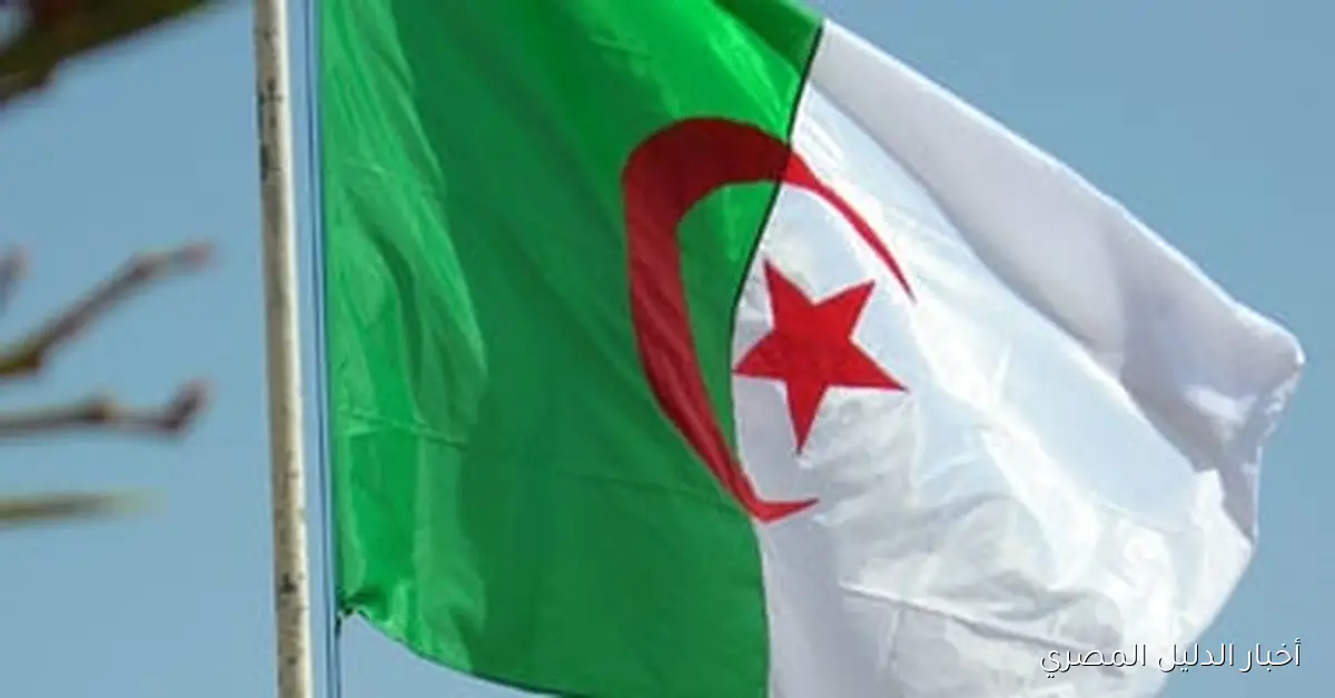 برلماني جزائري يؤكد أهمية دخول الشركات الروسية إلى السوق المحلي