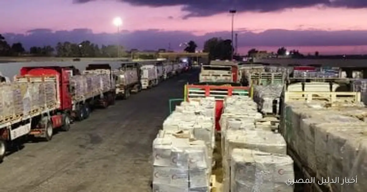 بلدية غزة تطالب المنظمات الدولية بتلبية الاحتياجات الإنسانية العاجلة