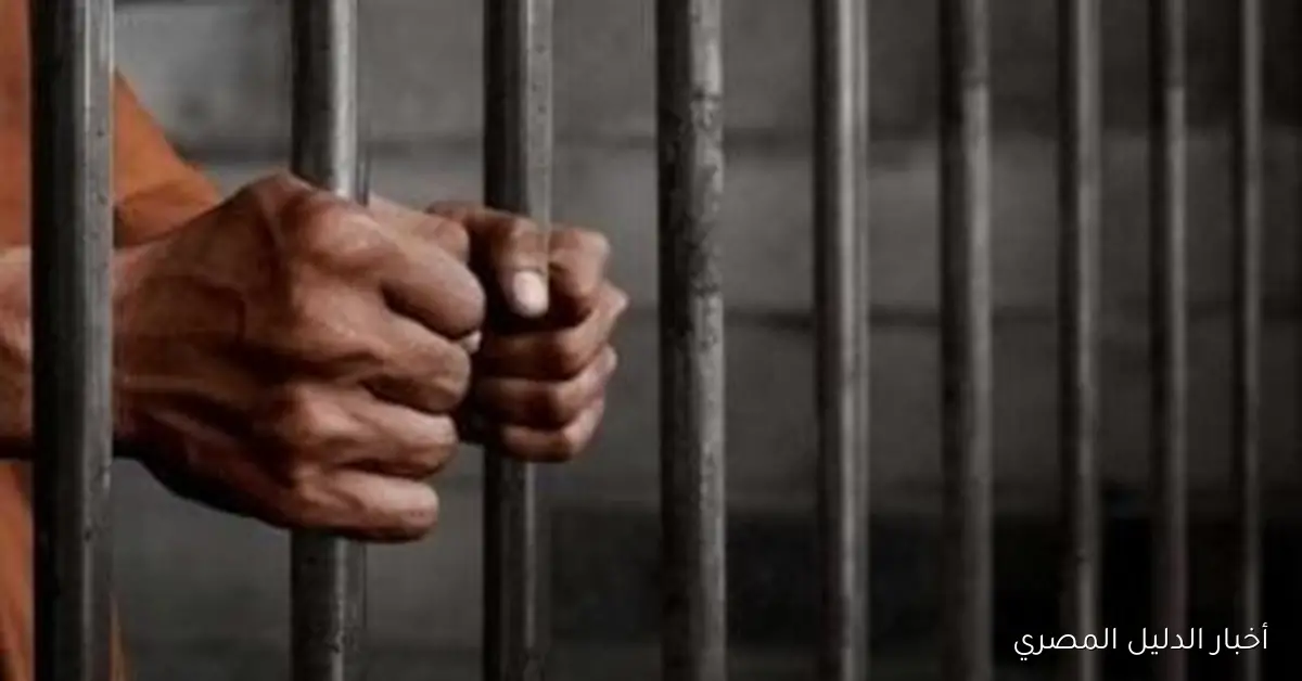 <p><strong>تأجيل محاكمة المتهم بقتل والده وإحراق جثته في الخانكة إلى ديسمبر المقبل</strong></p>