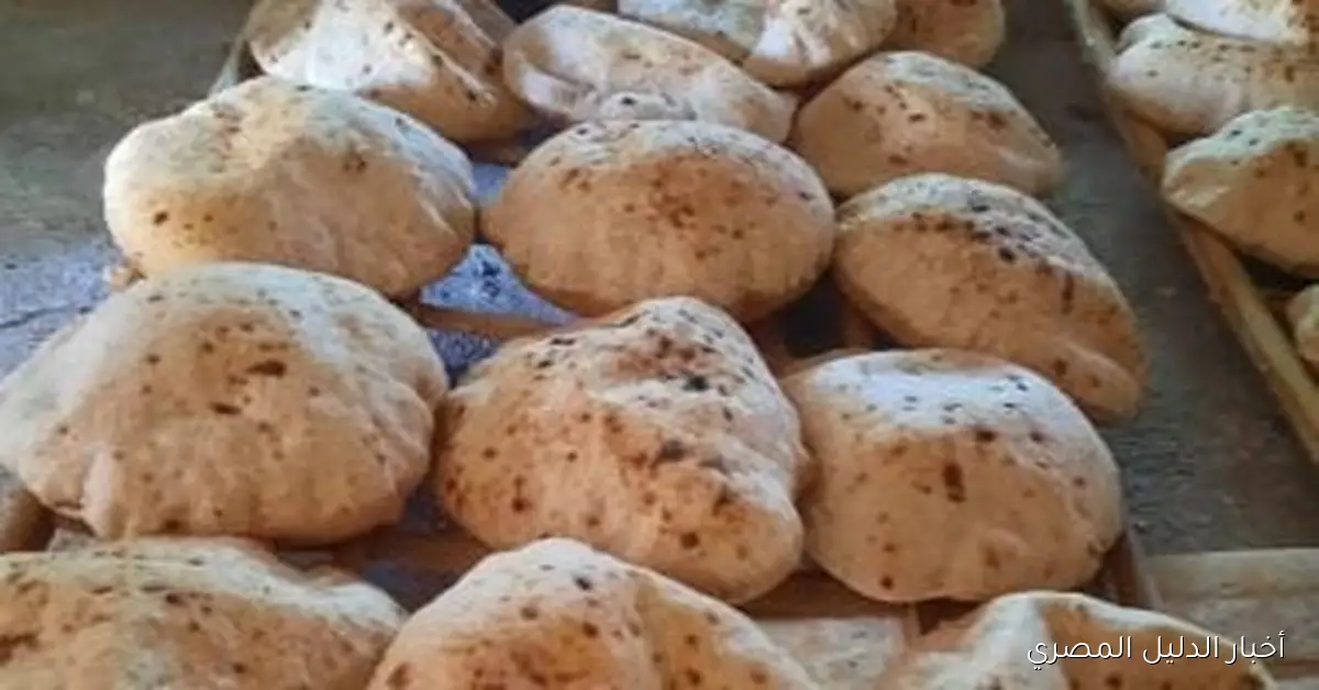 تحرير 63 محضرًا خلال حملات تفتيشية على المخابز البلدية في محافظة البحيرة