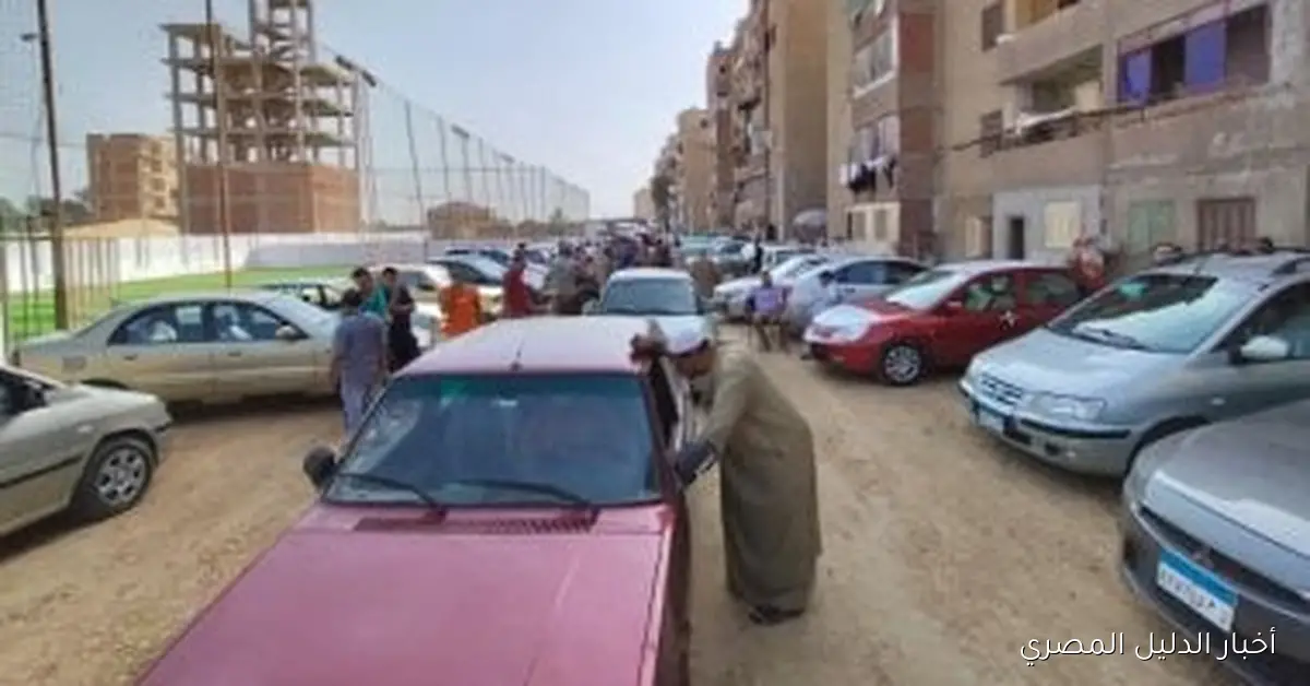 تحليل أرقام تراخيص السيارات وفقًا لنوع الوقود: الجديد والمستعمل