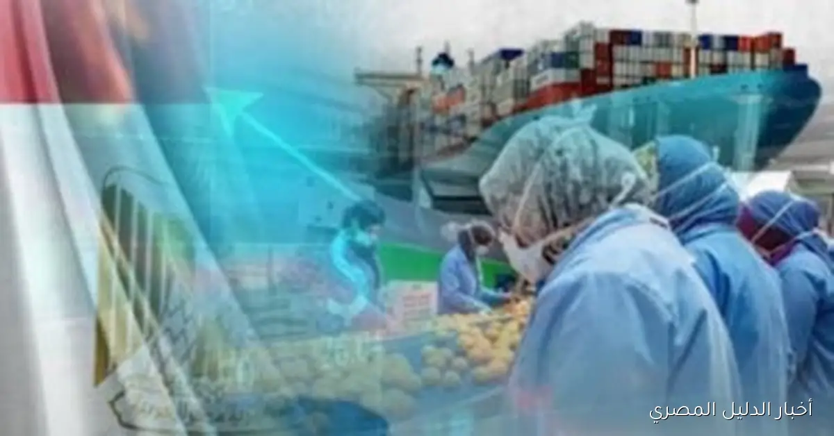 تحليل أسباب زيادة حجم التجارة الخارجية لمصر في 2025: نمو ملحوظ في الصادرات