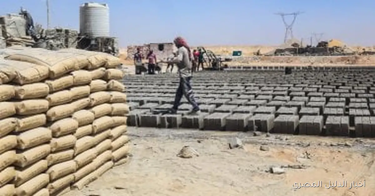 تحليل أسعار الأسمنت ليوم الجمعة 24 أكتوبر 2025: توقعات حول التغيرات المستقبلية.