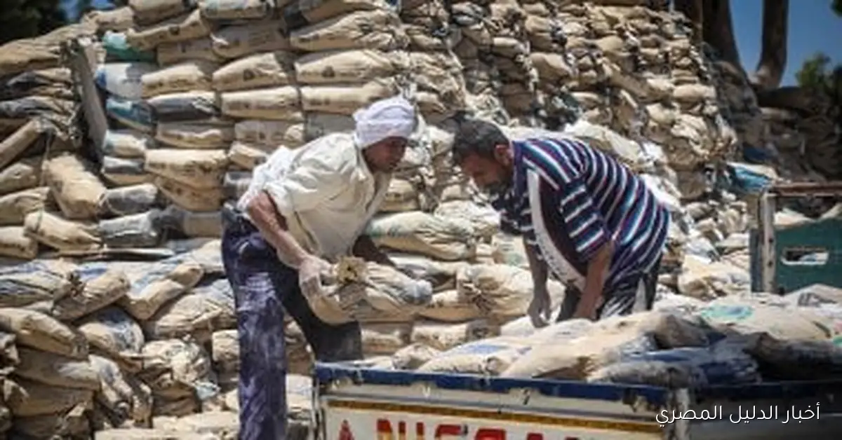 تحليل استقرار أسعار الأسمنت: الوضع الحالي ليوم الجمعة 24 أكتوبر 2025