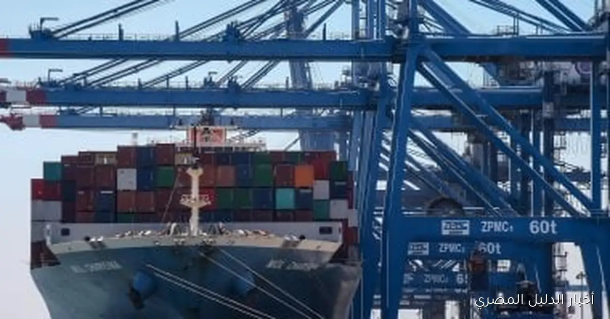 تحليل تأثير إعفاء الصين للرسوم على الصادرات المصرية: توضيحات من الغرفة التجارية