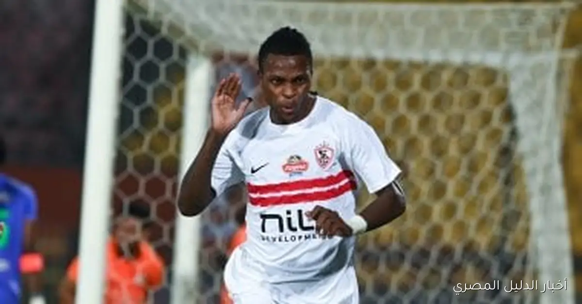 تحليل مثير حول مستقبل الثنائي شيكو بانزا والجزيري في الزمالك