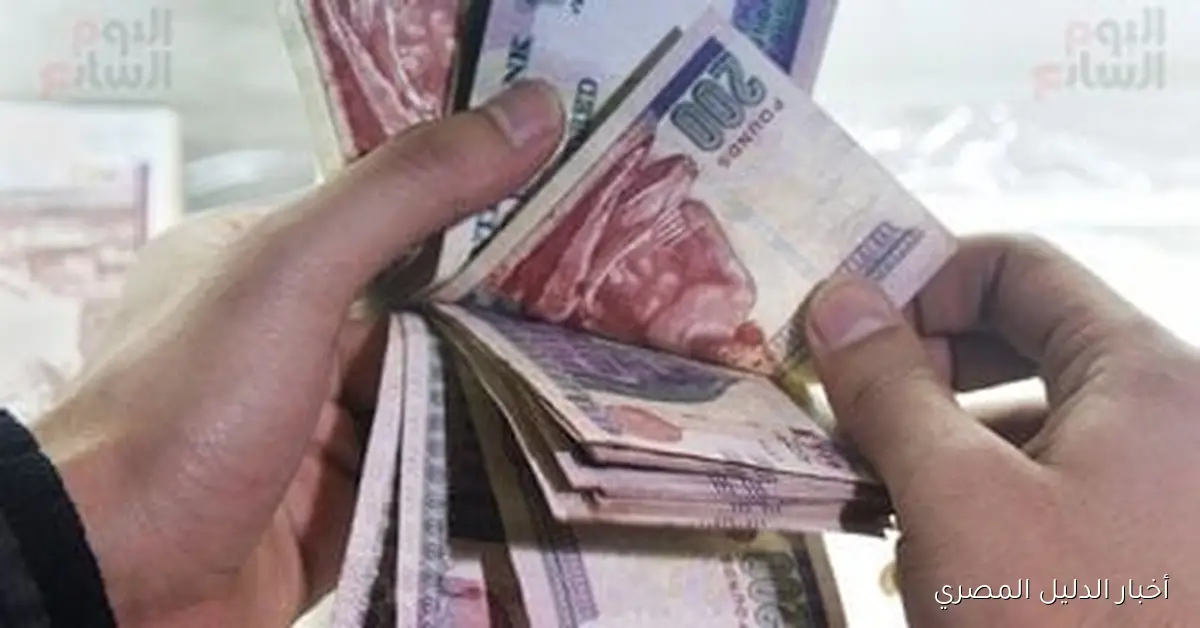 تحليل مستقبل شهادة الادخار بنسبة 17% وتوقيت اجتماع البنك المركزي القادم