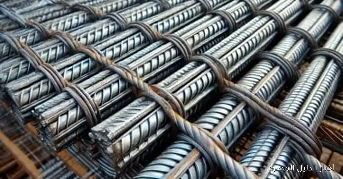 تراجع أسعار خام الحديد نتيجة ضعف الطلب الصيني وانخفاض أرباح مصانع الصلب