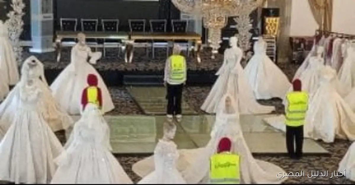 تضامن المنوفية ينظم معرضاً لتوزيع فساتين الزفاف على 235 عروساً