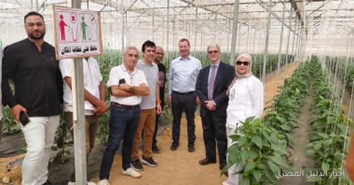 تقدير أوروبي لجهود الهيئة القومية لسلامة الغذاء في تحقيق النجاح في المراجعة الفنية