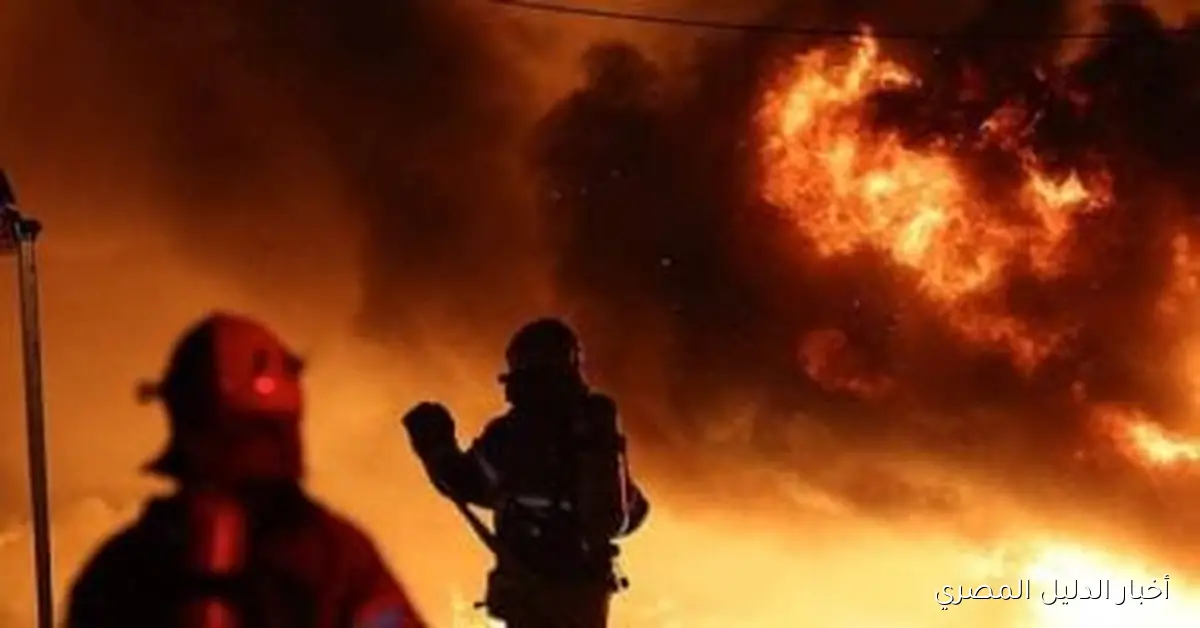 تقرير مروع يكشف: مساحة الغابات المحترقة خلال عام تعادل مساحة الهند بأكملها