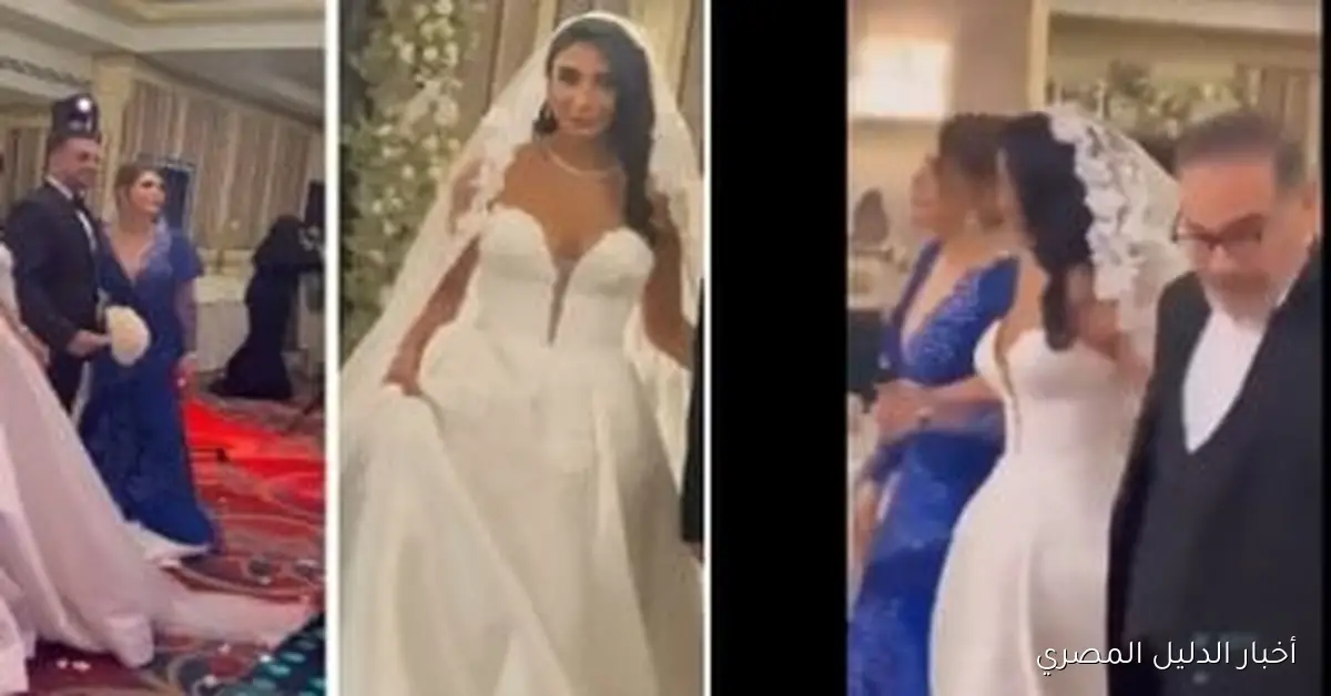 جدل واسع في إيران بعد حفل زفاف ابنة علي شمخاني – فيديو يثير ردود فعل متباينة