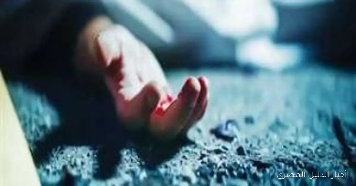 جريمة مروعة في مدينة السادات: عاطل يقتل طليقته أمام مدرسة بسبب خلافات أسرية – فيديو يوثق الحادث