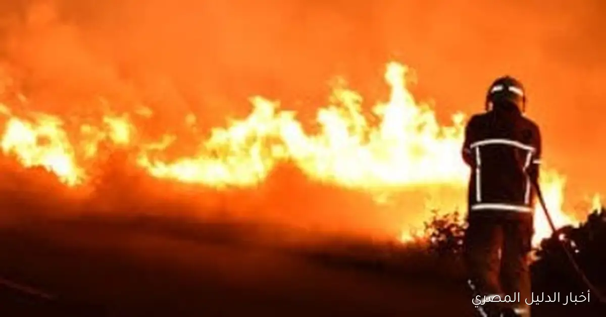 حرائق الغابات تسجل أرقاماً قياسية في جميع أنحاء العالم وتتحول إلى مصادر انبعاث الكربون