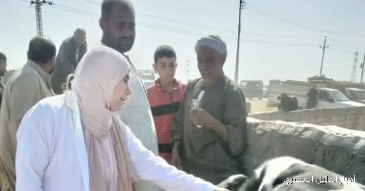 <p><strong>حملات تحصين ناجحة في سوق المواشي بكفر الشيخ: تأكيد على خلو المنطقة من الأمراض الوبائية</strong></p>